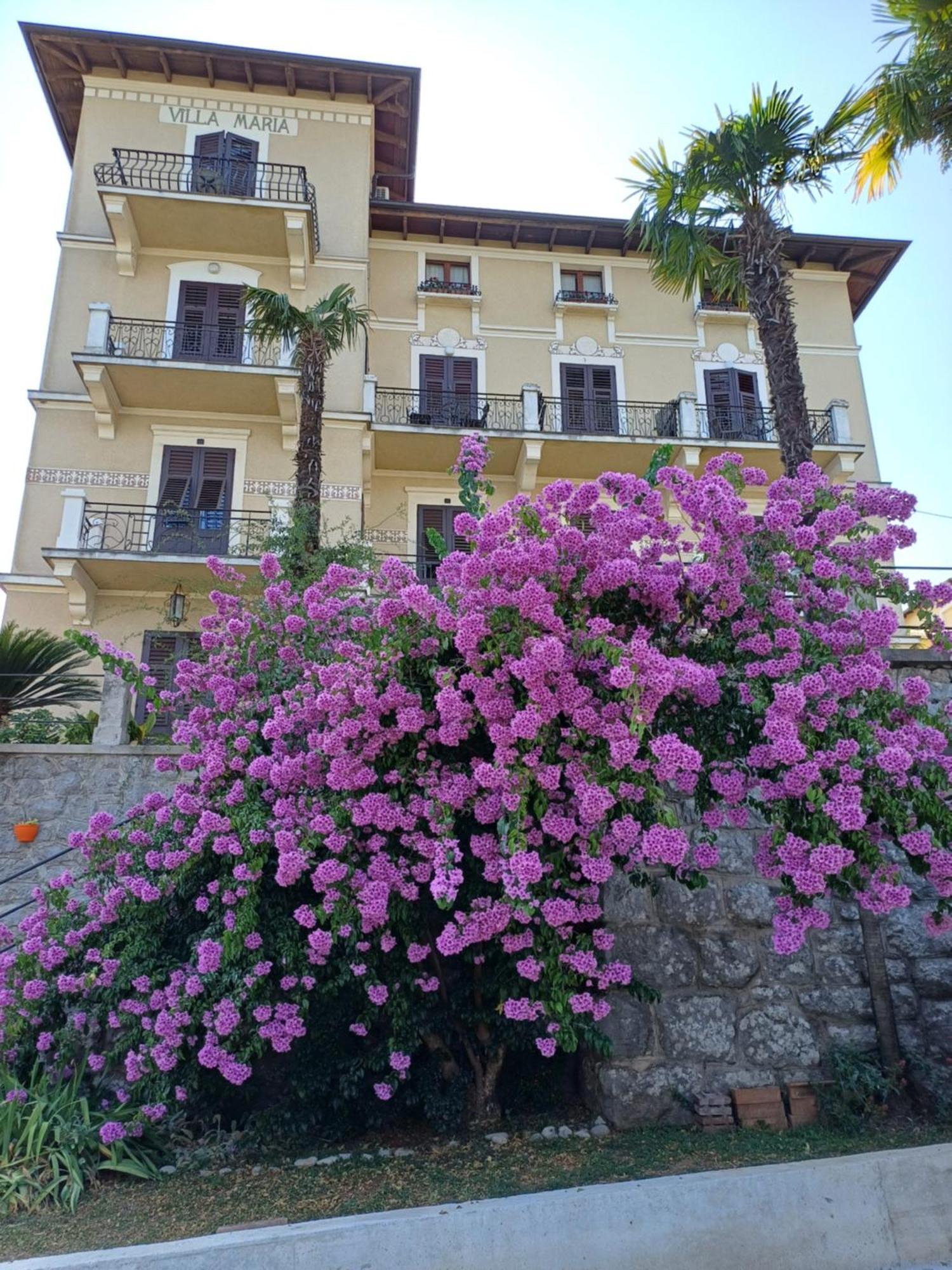Villa Marija Lovran Exterior photo
